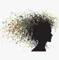 名學(xué)網(wǎng)